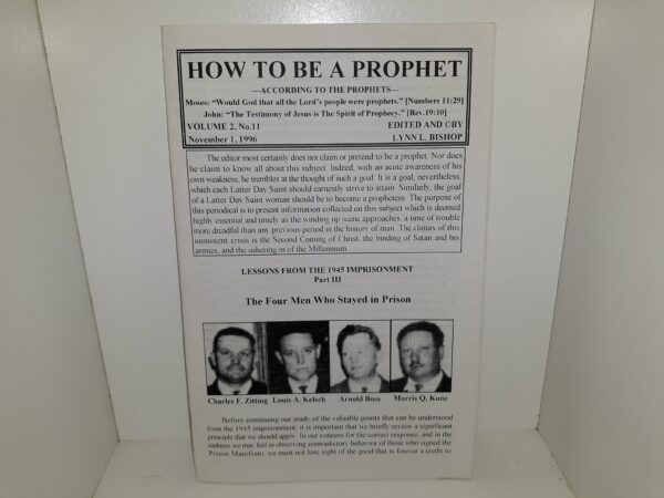 How To Be A Prophet—According to the Prophets—: Vol. 2, No. 11, November 1, 1996 (1996)