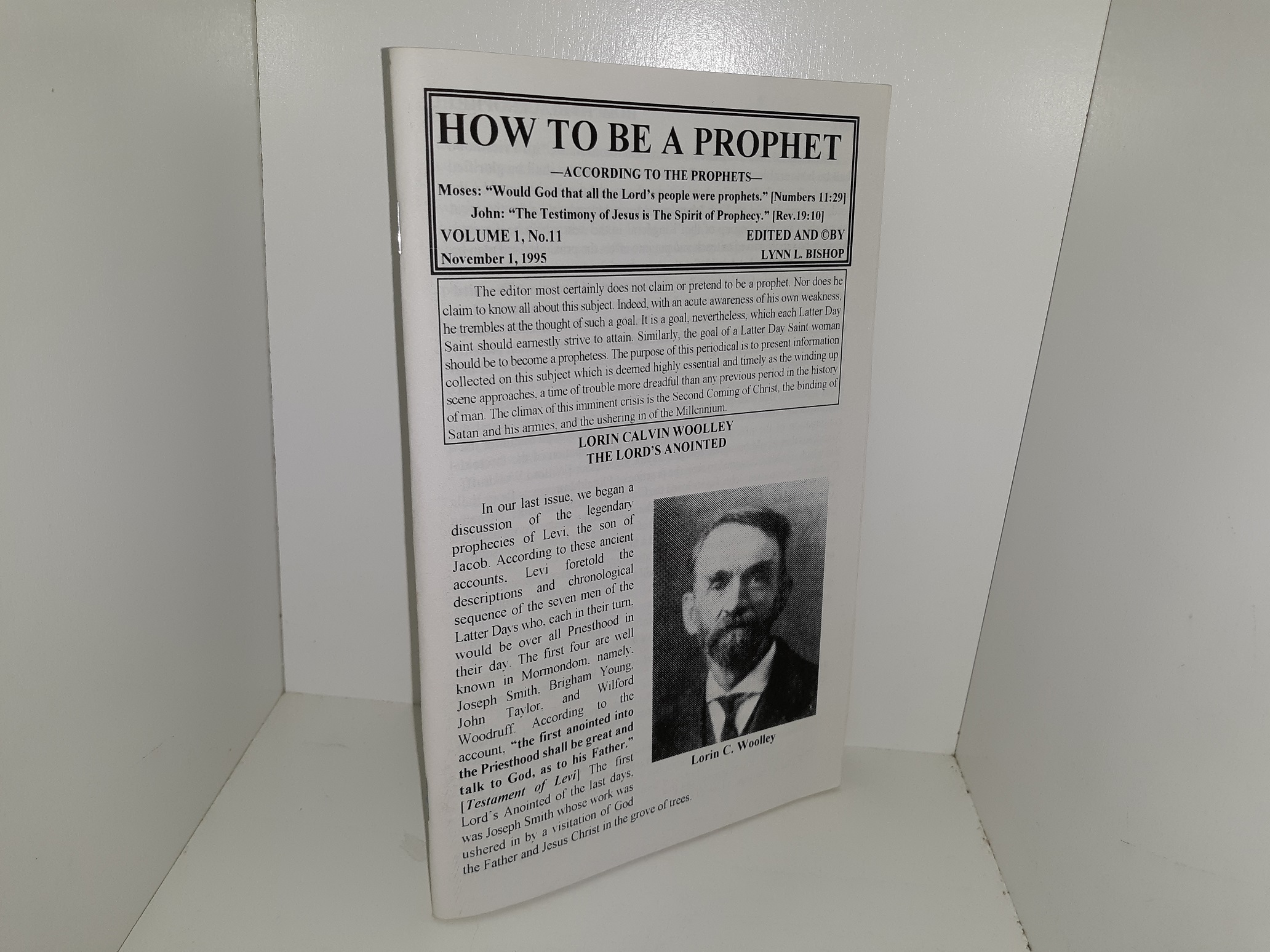 How to be a Prophet: Vol. 1, No. 11, November 1, 1995 (1995)