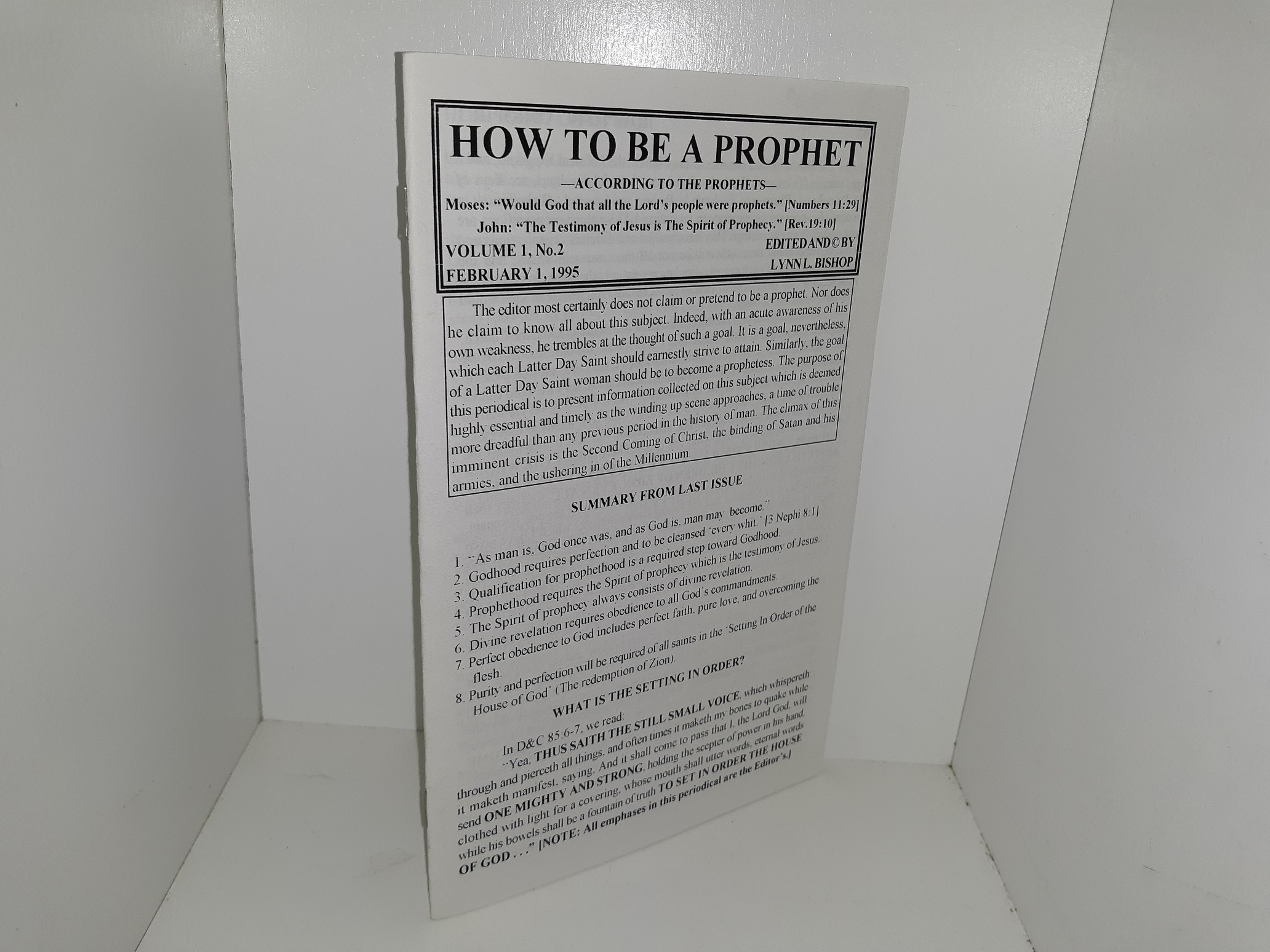 How to be a Prophet: Vol. 1, No. 2, February 1, 1995 (1995)