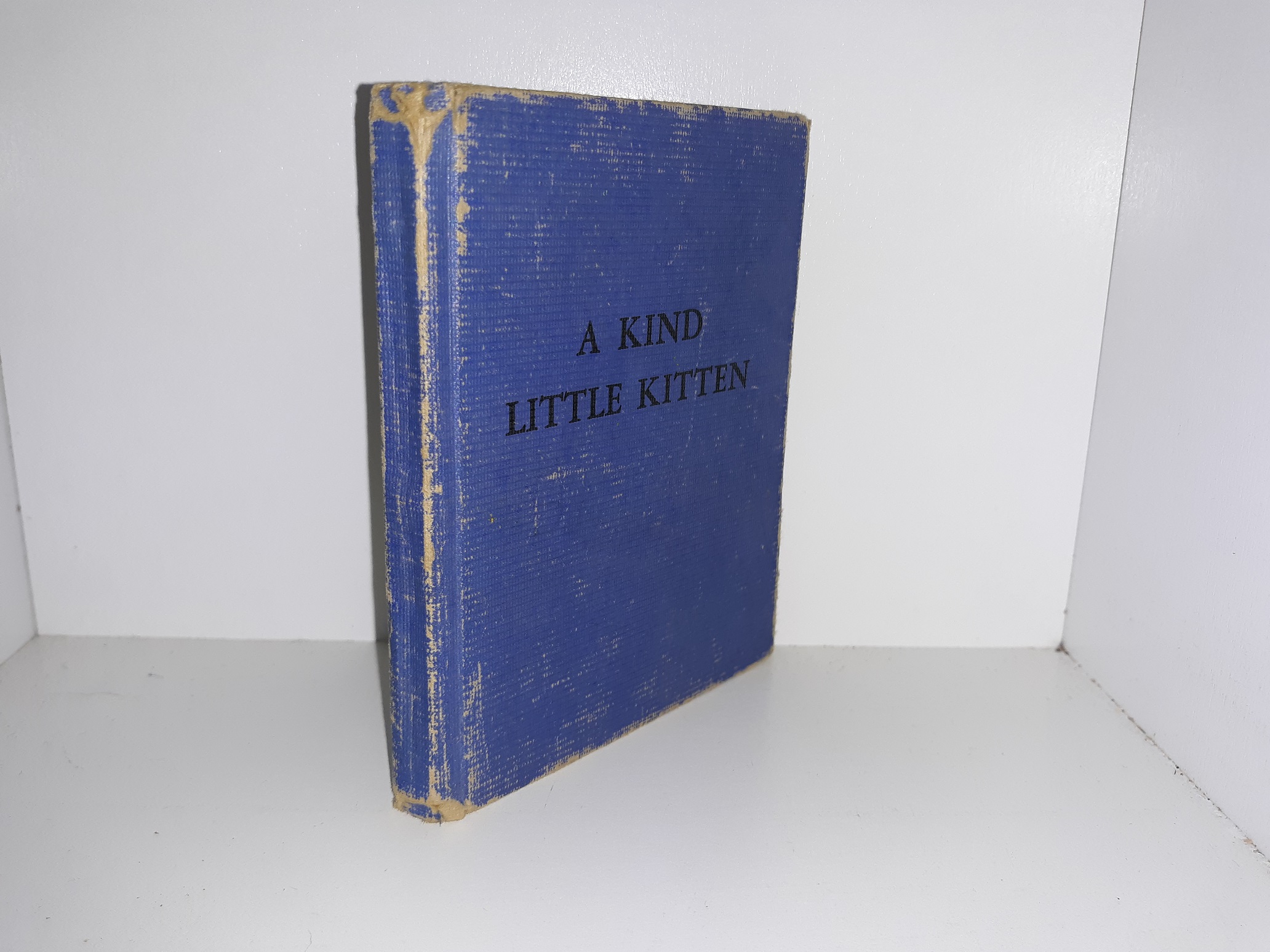 A Kind Little Kitten (1936)