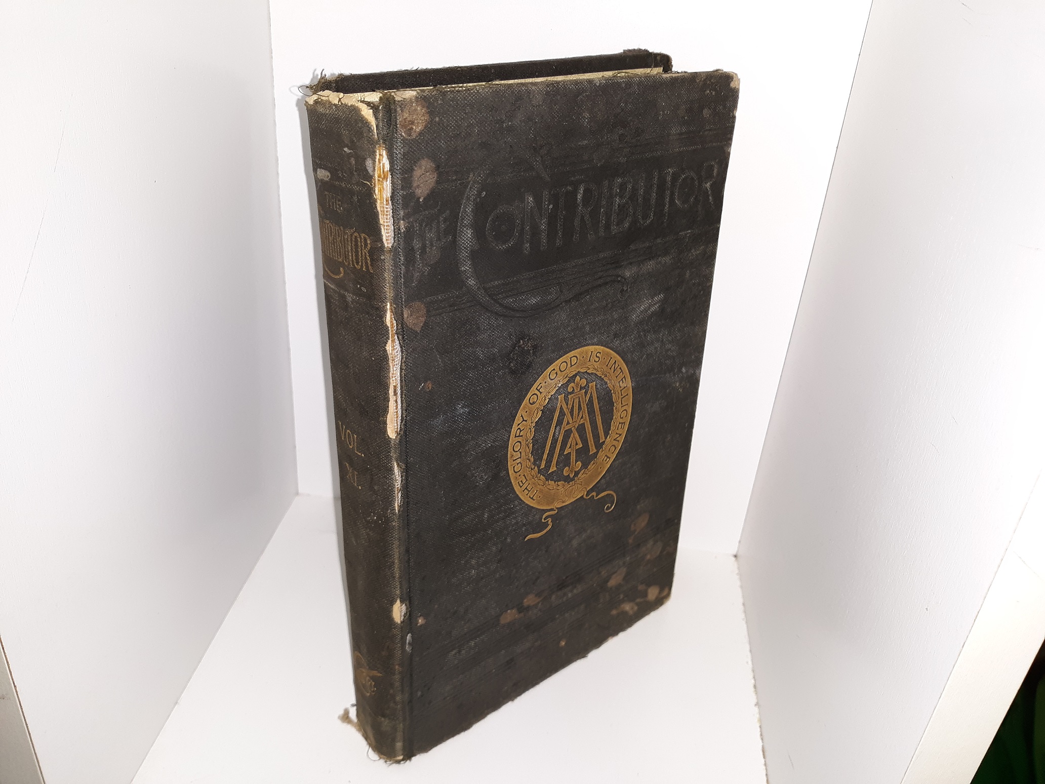 The Contributor: Vol. 11