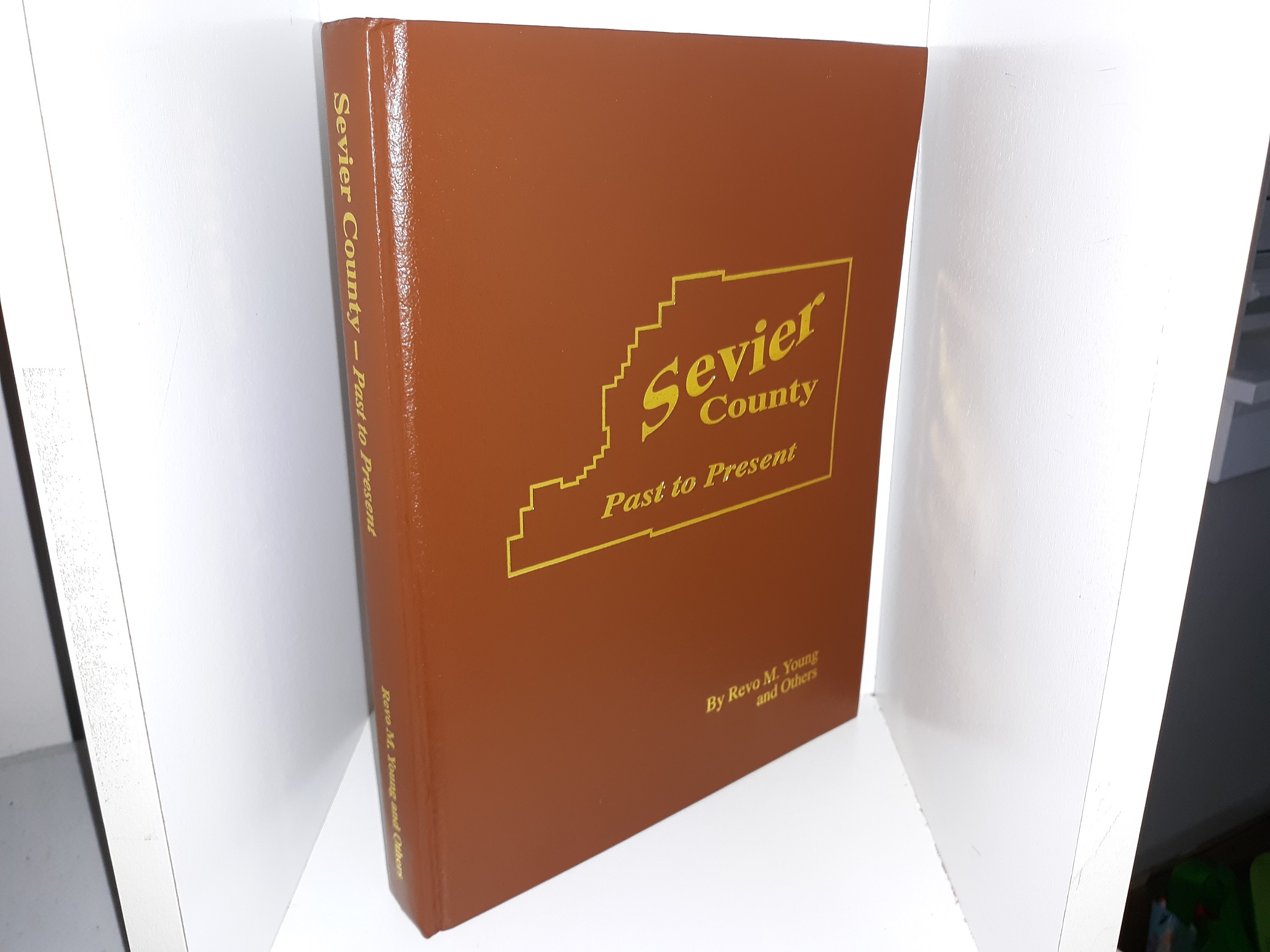 Sevier County: Past to Present (Bonded Leather) (1998) ~ by Revo M. Young and Others