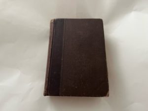 1909-The Practical Stock Doctor-Dr. Geo A. Waterman