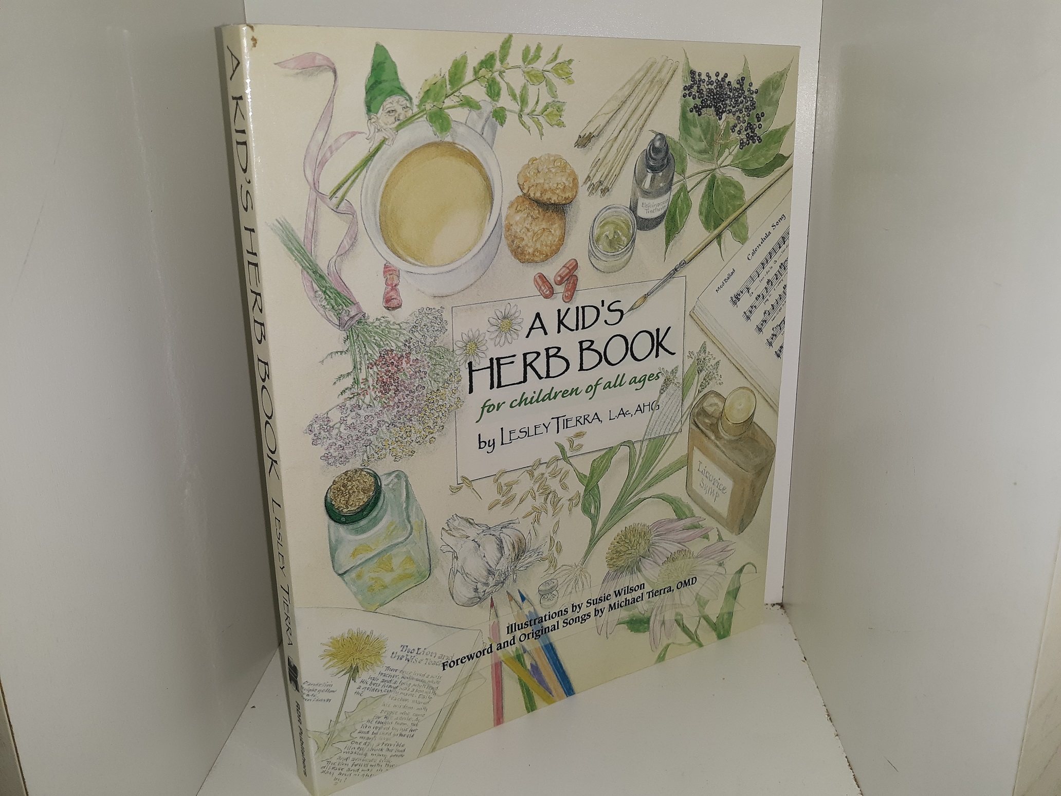 A Kid's Herb Book for Children of All Ages (2000) by Lesley Tierra, L