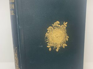 Nest and Eggs of British Birds VIII, 3rd Ed. (1895) by FO Morris