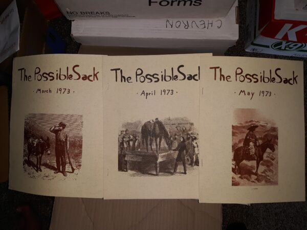 3 Issues of The Possible Sack (See Details)