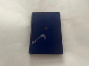 1923-The Founding of Utah-Levi Edgar Young