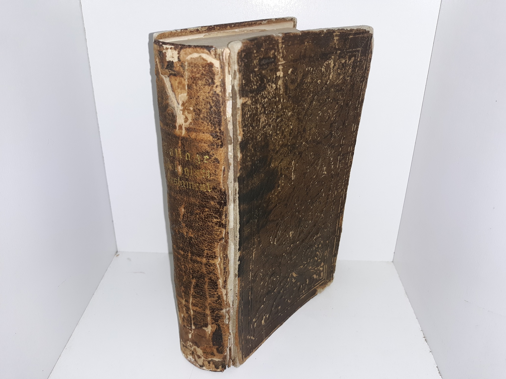 The Cottage Polyglott Testament (1854) ~ by William Patton, D. D.