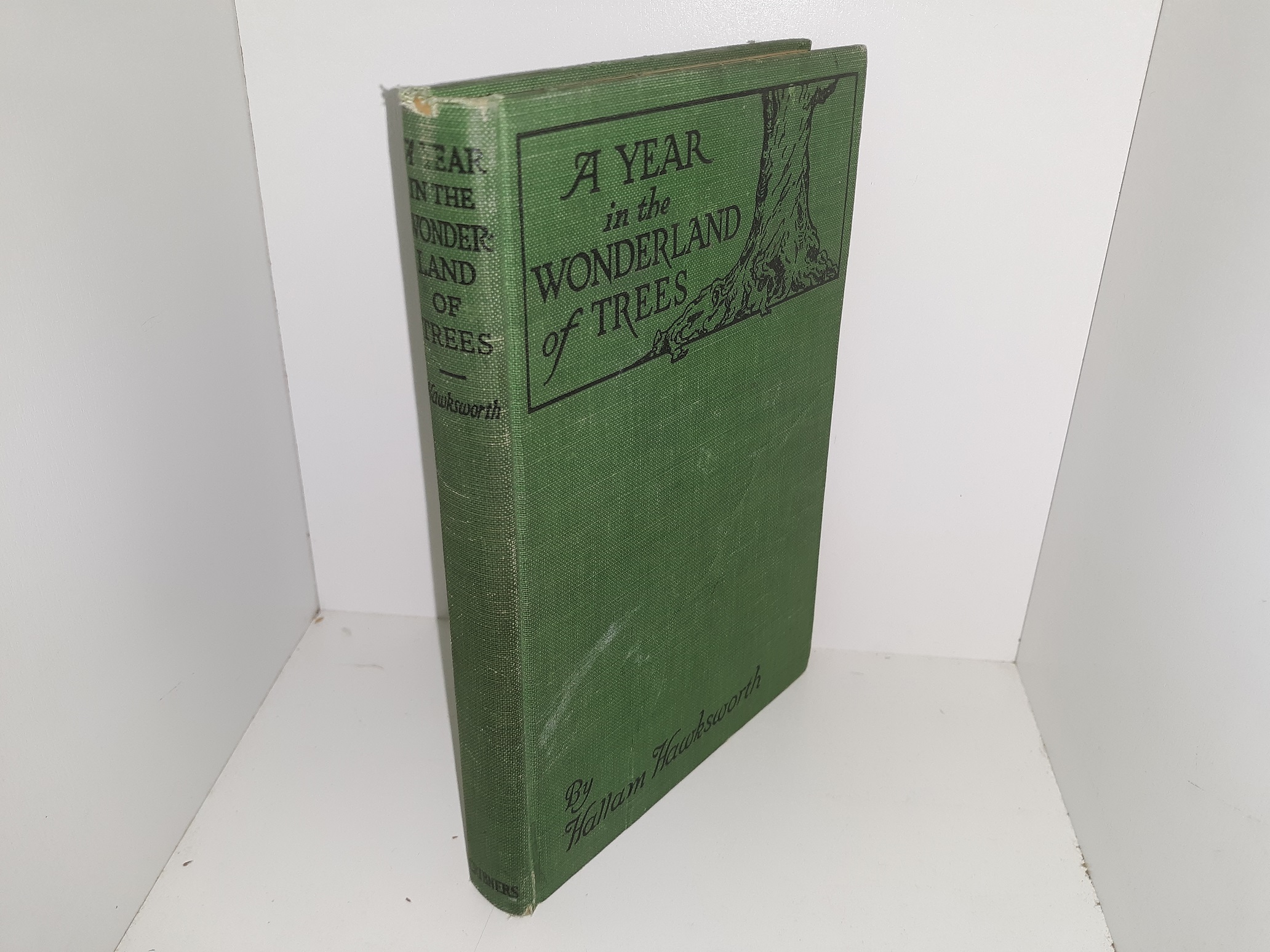 A Year in the Wonderland of Trees (1926) ~ by Hallam Hawksworth