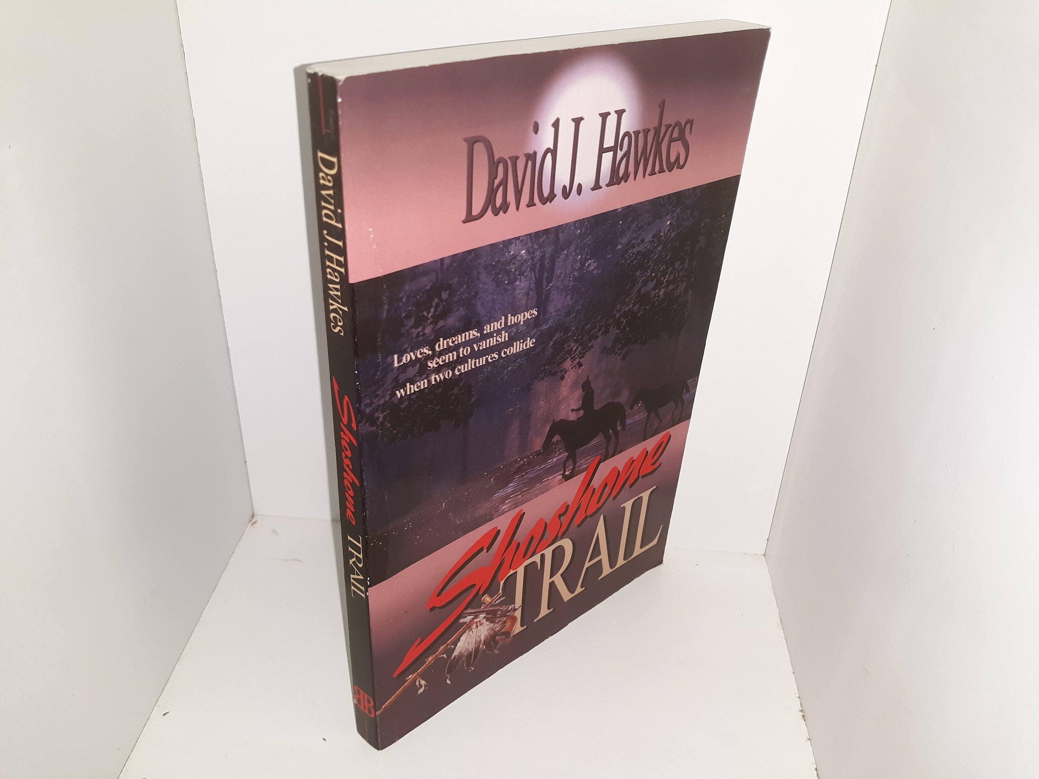 Shoshone Trail (1999) ~ by David J. Hawkes