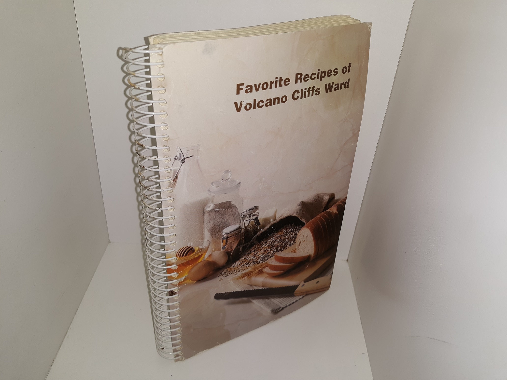 Favorite Recipes of Volcano Cliffs Ward