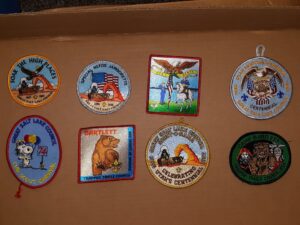 Bundle of 8 Scouting Badges