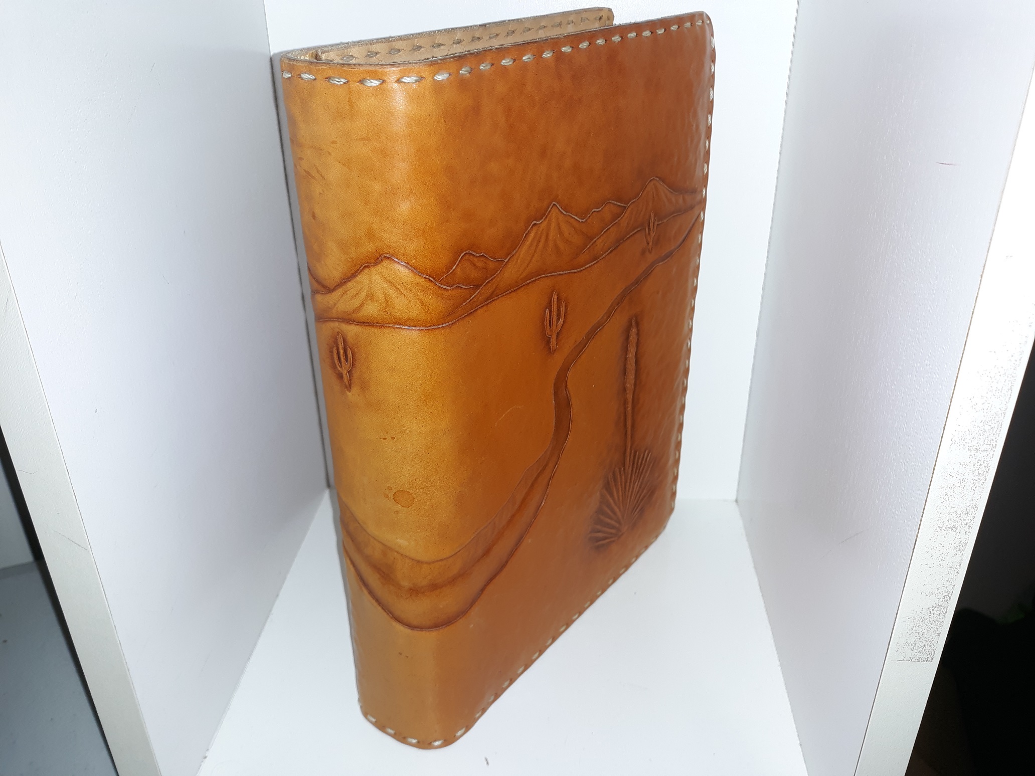 Life Application Bible: The Living Bible (Green Bonded Leather) (1988)