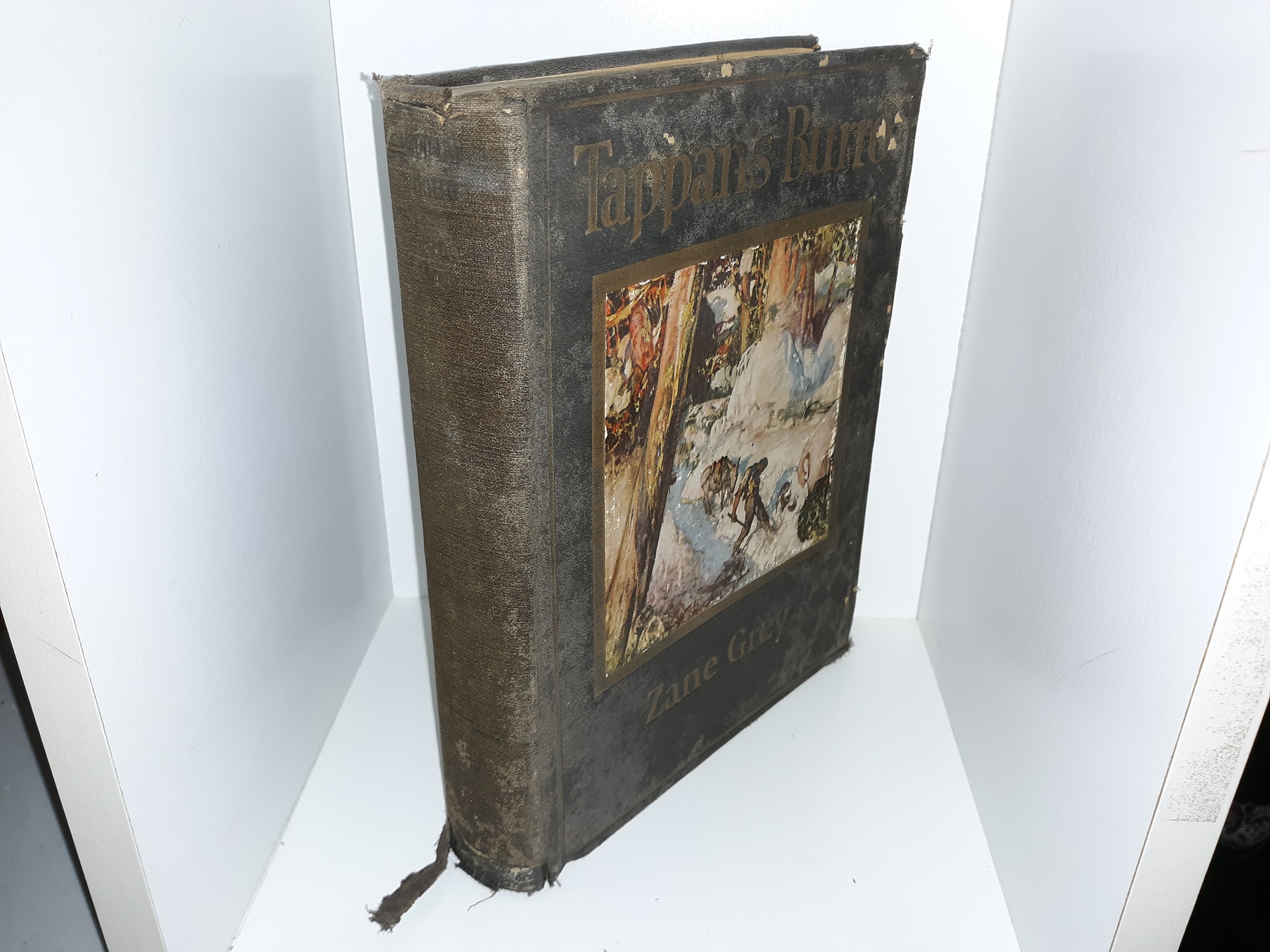 Tappan’s Burro (1st Edition) (1923) ~ by Zane Grey