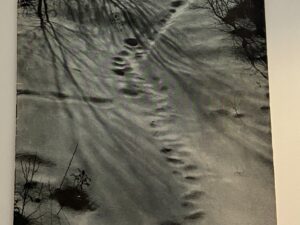 The Improvement Era: Vol. 45, No. 1, January 1942 (1942)