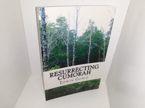 Resurrecting Cumorah (2011) ~ by Edwin Goble