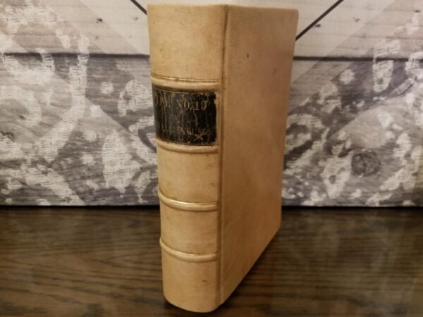 1875 --- Wife 19 ~ The Story of a Life in Bondage --- Ann Eliza Young --- Suede Leather Binding