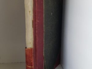 1913 — LDS Family & Individual Record — “John Palmer, Gedida Davis, Sarah Raggs, James Page, Emma Kemp, William Palmer, Phillis Louisa Page, Homer D. Williams …. etc. etc…