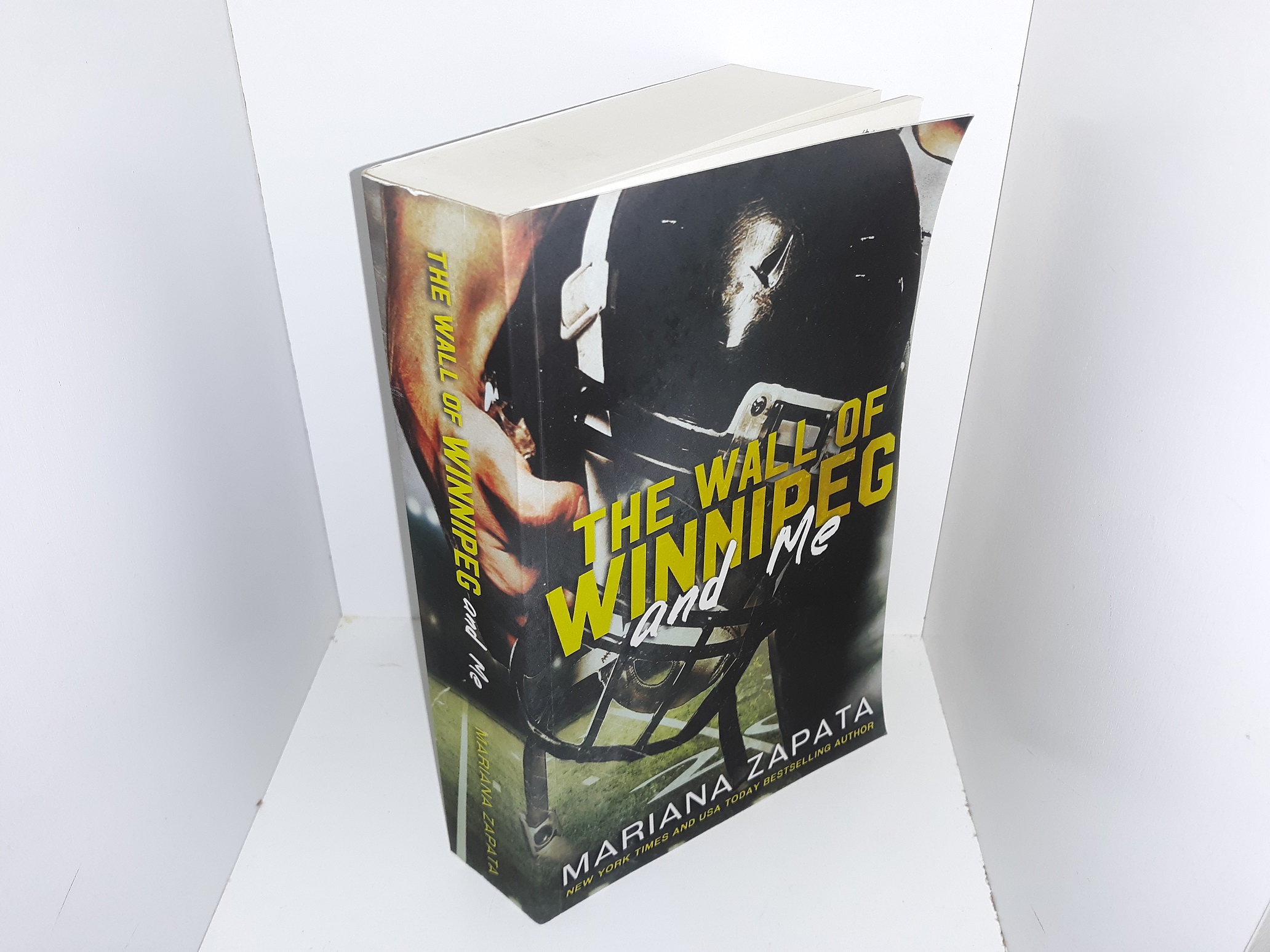 The Wall of Winnipeg and Me (2016) by Mariana Zapata Eborn Books