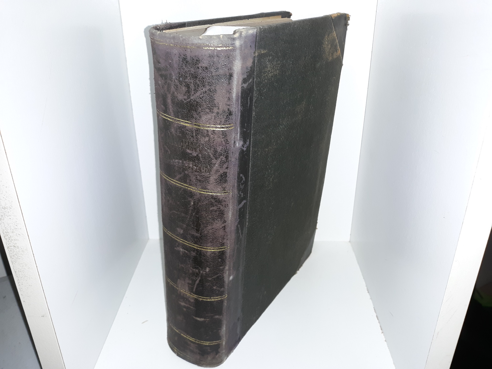 Harper’s Magazine: Vol. 83, June to November, 1891 (1891)