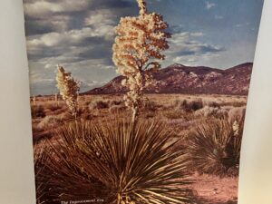 The Improvement Era: Vol. 62, No. 6, June 1959 (1959)