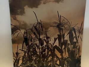 The Improvement Era: Vol. 52, No. 8, August 1949 (1949)