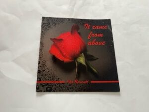 2008- It Came From Above- Ida Bowcutt