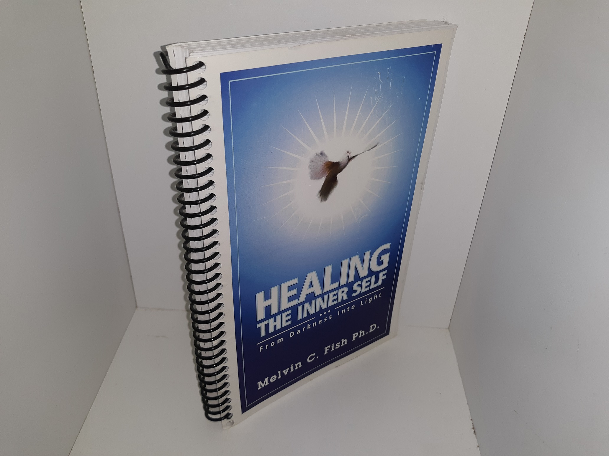 Healing the Inner Self: From Darkness Into Light (1999) ~ by Melvin C. Fish, Ph.D.