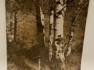 The Improvement Era September, 1949 Vol. 52 No. 9