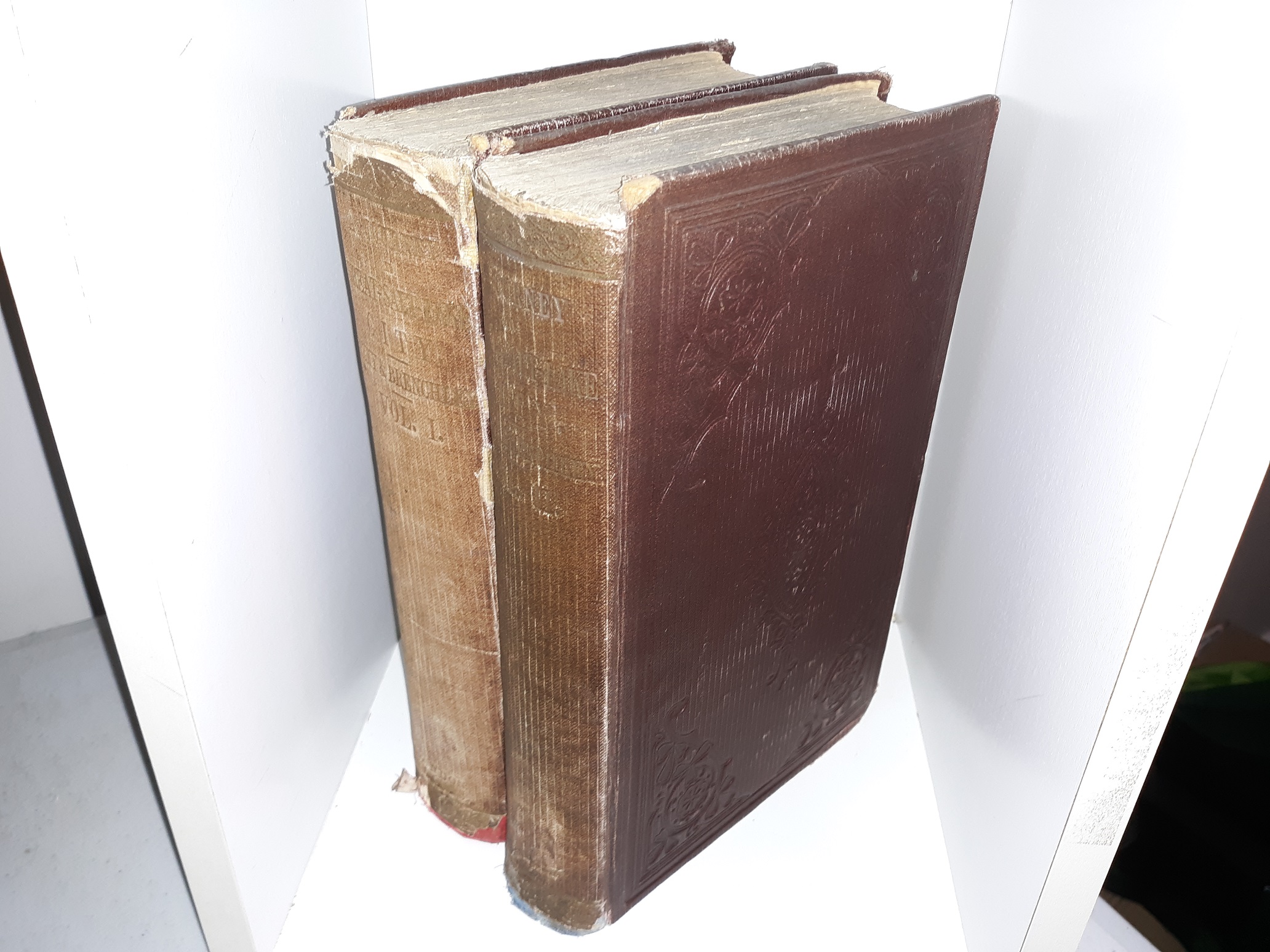 A Journey to Great Salt Lake City 2 Vol. Set (1861) ~ by Jules Remy