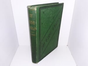 In The Toils (1879) ~ by Mrs. A. G. Paddock