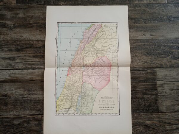 Palestine Map
