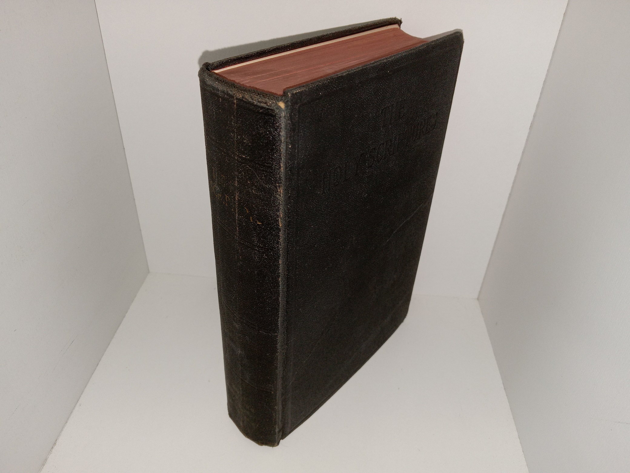 The Holy Scriptures According to the Masoretic Text (A New Translation) (1928)