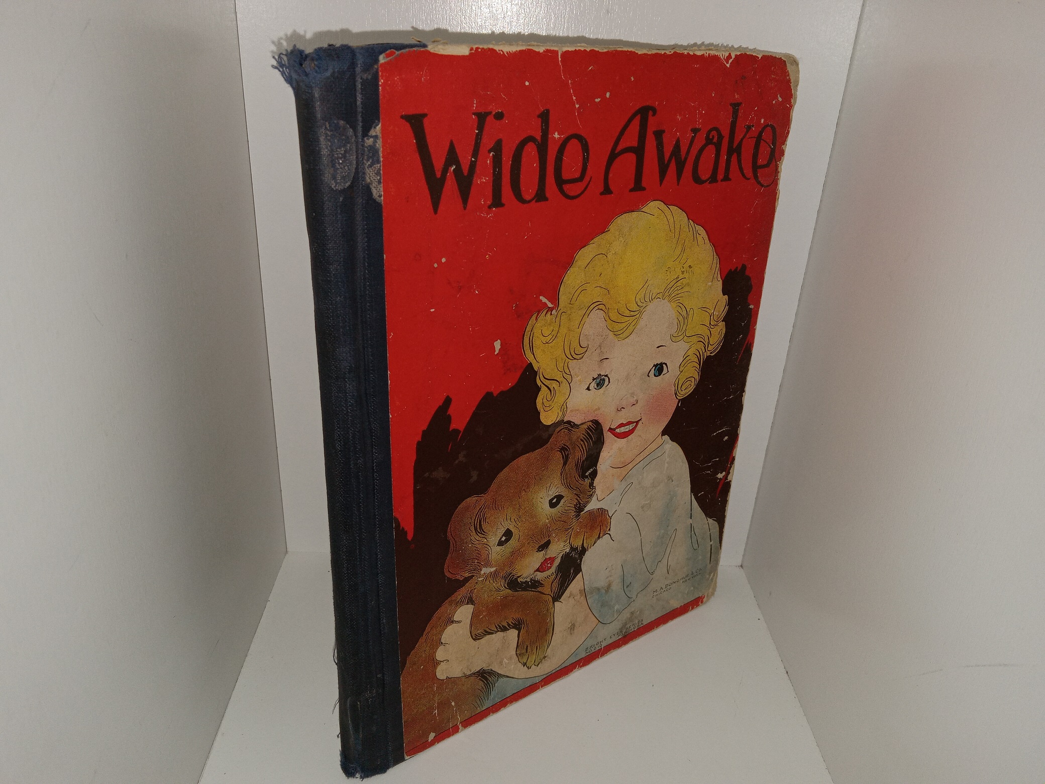 Wide Awake (Unknown Publishing Date) ~ Unknown Author