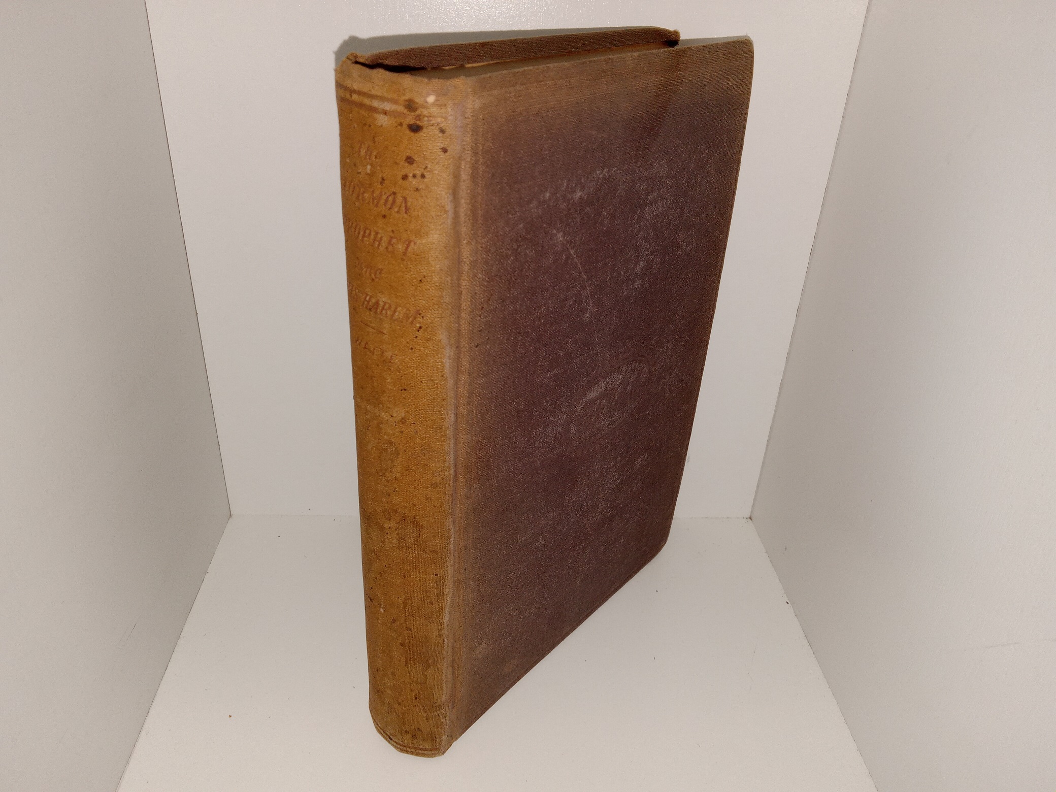 The Mormon Prophet and His Harem; or, An Authentic History of Brigham Young, His Numerous Wives and Children (1867) ~ by Mrs. C. V. Waite