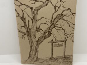 Historic Cosumnes and the Slough House Pioneer Cemetery (1978) by Norma Baldwin Ricketts