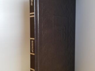 Day After Day, The Translation of the Book of Mormon — LIMITED EDITION LEATHER — [Only 20 Copies] — by Patrick Bishop