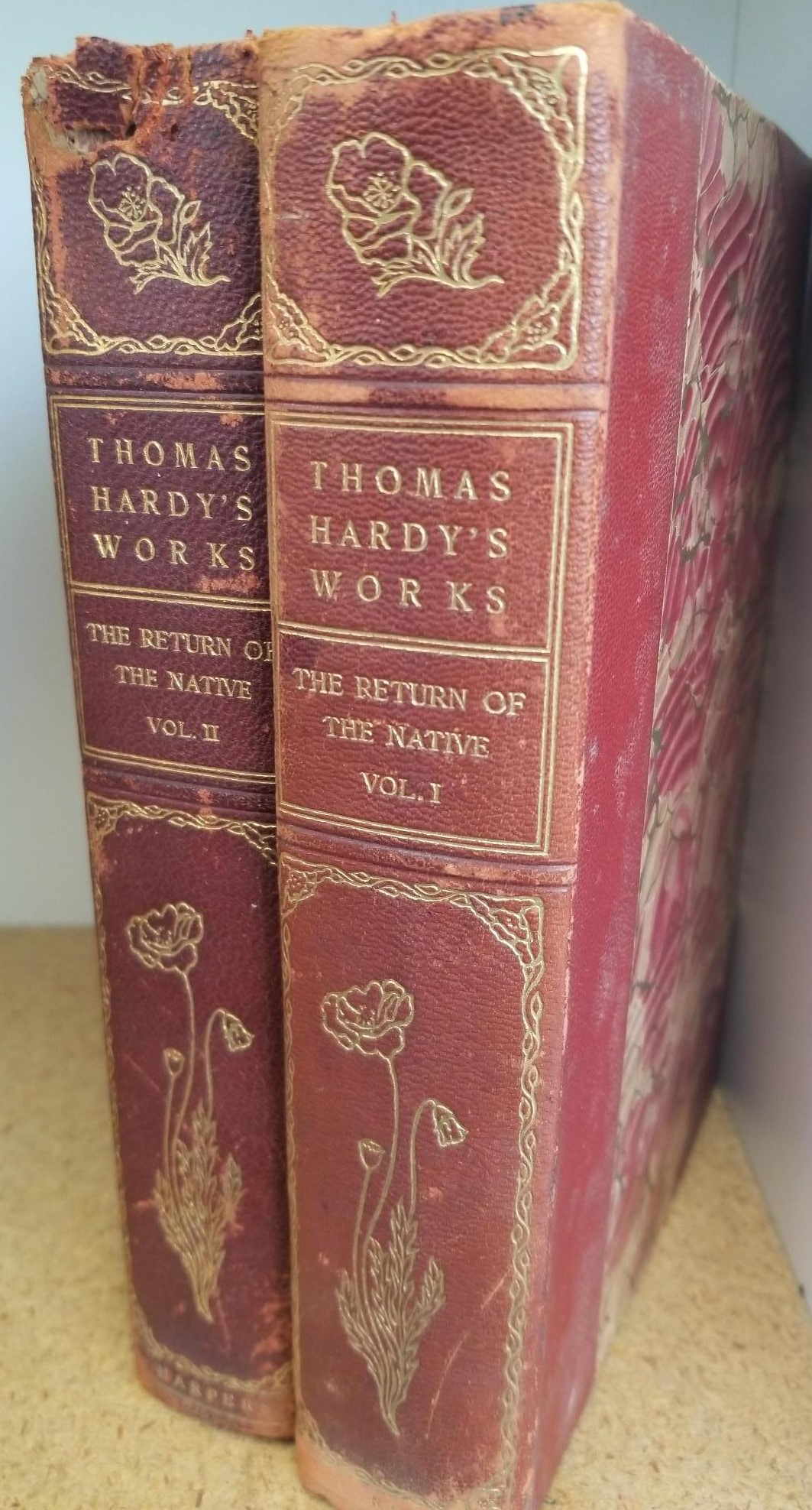 1905 — 19 Volume Partial Set — Thomas Hardy’s Works — 3/4 Leather Bindings