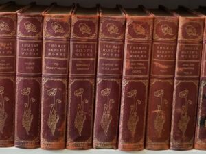 1905 — 19 Volume Partial Set — Thomas Hardy’s Works — 3/4 Leather Bindings