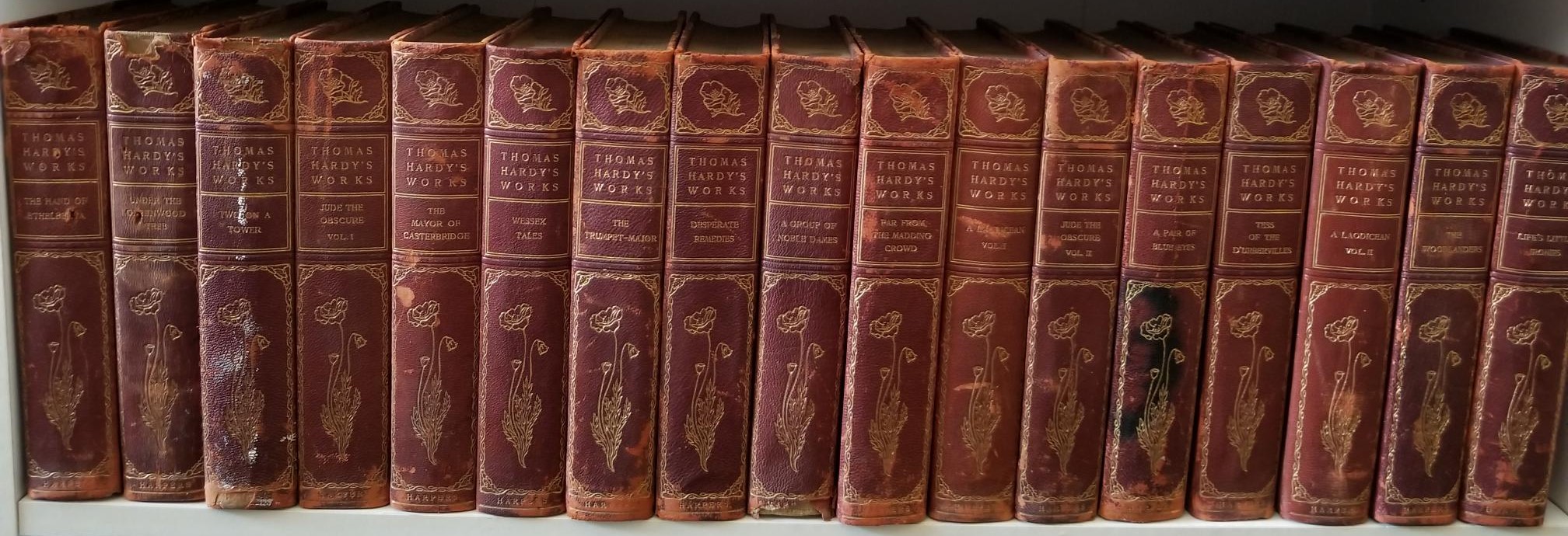 1905 — 19 Volume Partial Set — Thomas Hardy’s Works — 3/4 Leather Bindings