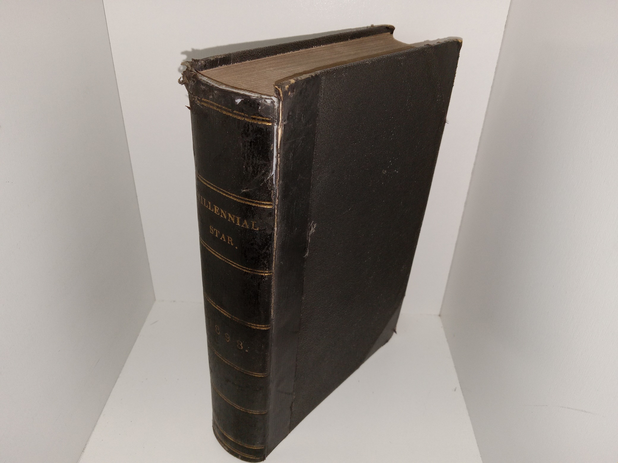 Millennial Star: Vol. 60, 1893 (1893)