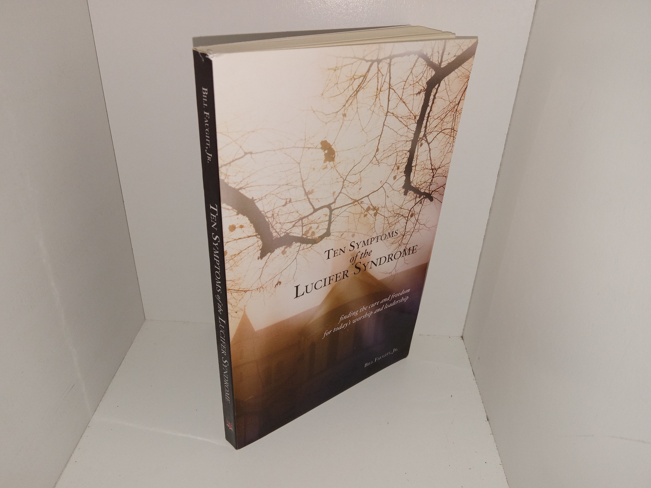 Ten Symptoms of the Lucifer Syndrome: Finding the Cure and Freedom for Today’s Worship and Leadership (2007) ~ by Bill Faught, Jr.
