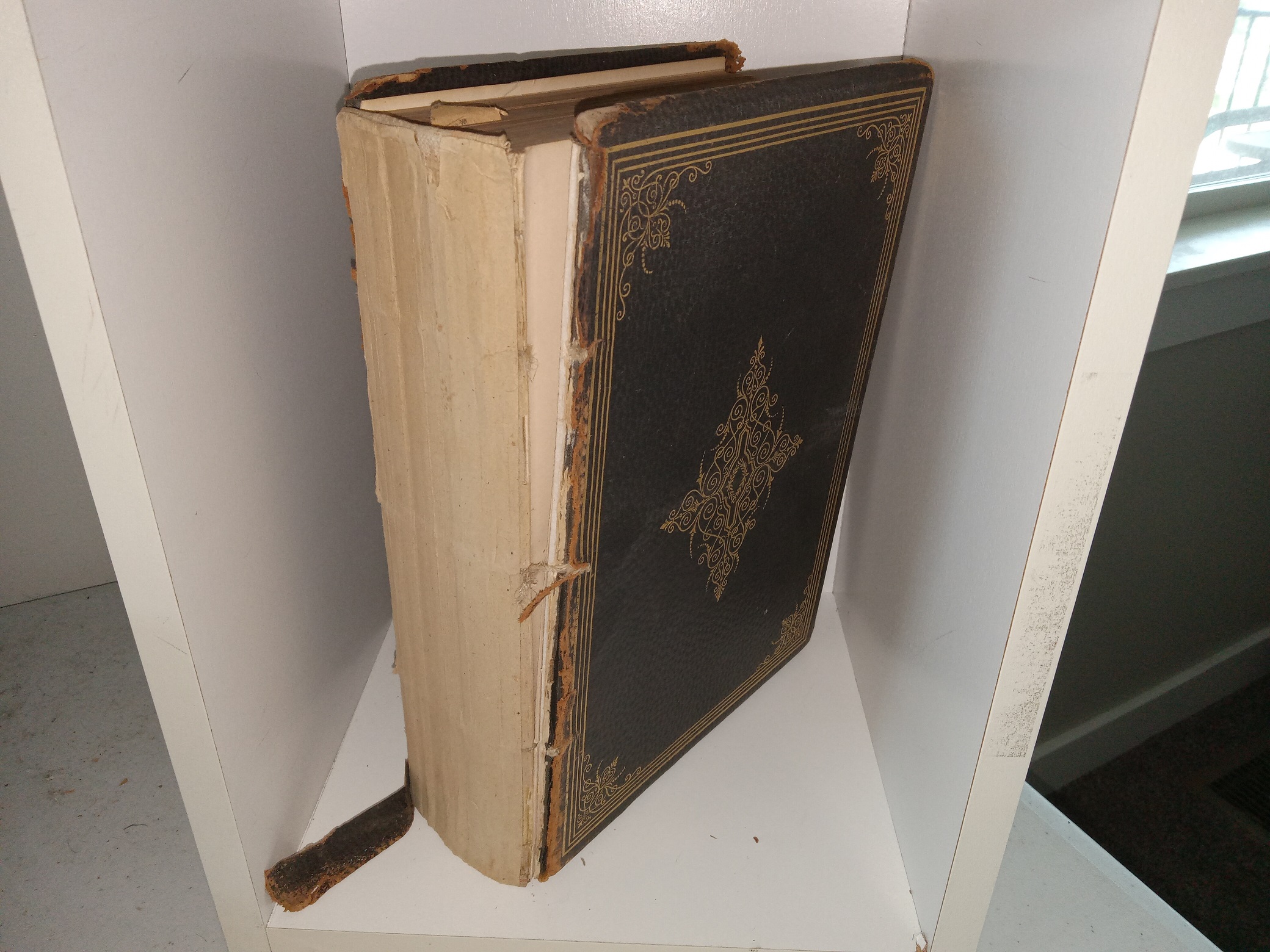 History of Utah: Vol. 1 (Leather) (1892) ~ by Orson F. Whitney