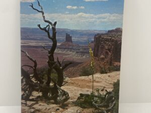 The Relief Society Magazine: Vol. 57, No. 3, March 1970 (1970)