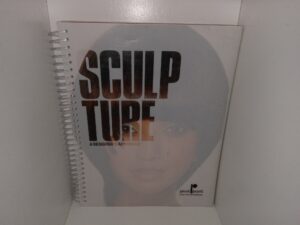 Sculpture: A Designer’s Approach (2016)