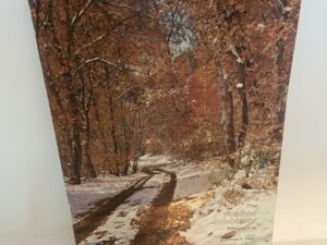 The Relief Society Magazine: Vol. 56, No. 11, November 1969 (1969)