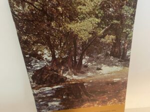 The Relief Society Magazine: Vol. 57, No. 9, September 1970 (1970)