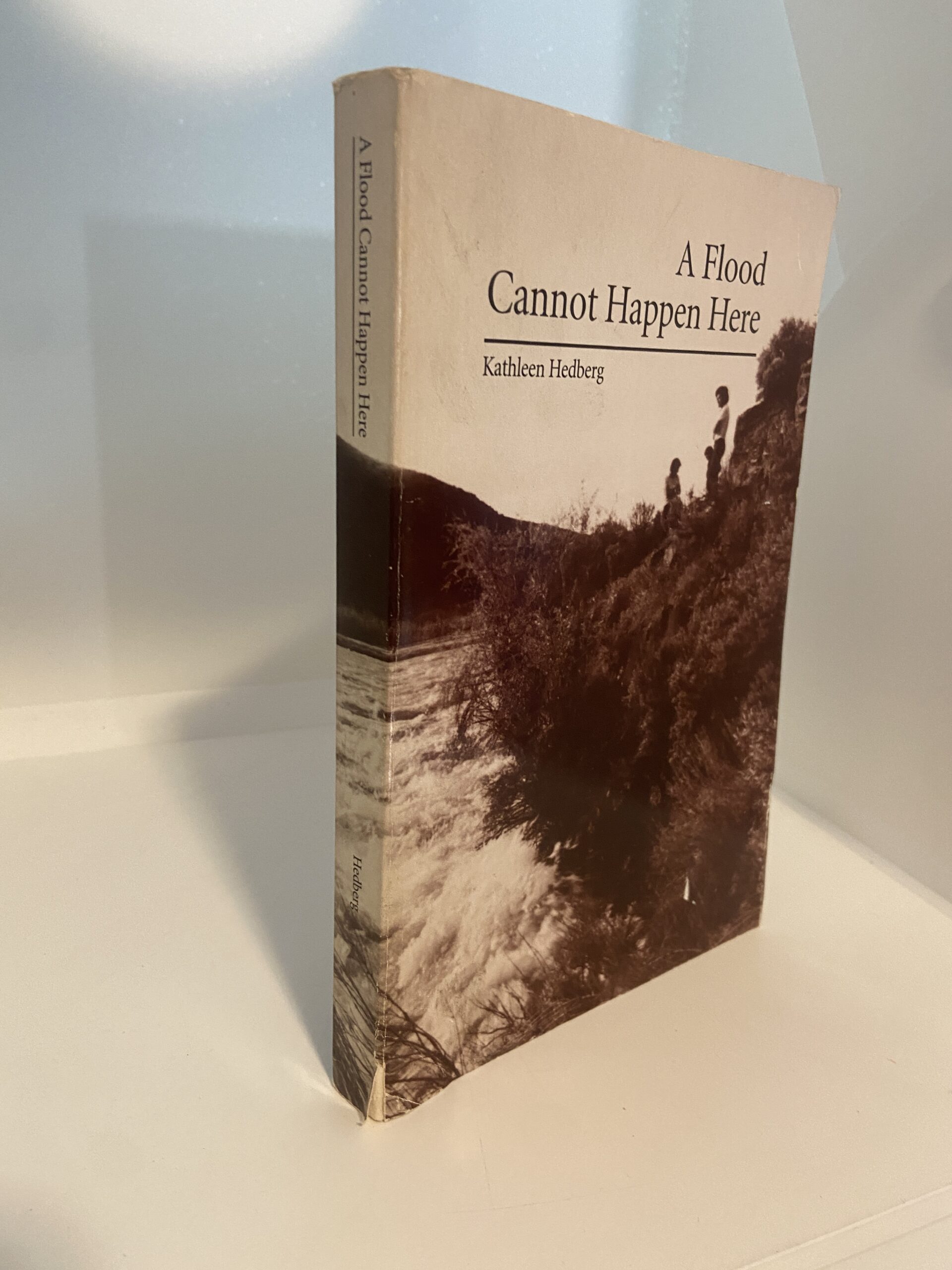 A Flood Cannot Happen Here (1993) By Kathleen Hedberg