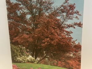 The Relief Society Magazine: Vol. 57, No. 7, July 1970 (1970)