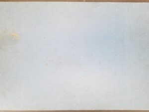 1967 — Cats Themselves – A Portfolio in Duotone Color by Robert Kuhn — Descriptive Text by Faire Edwards — Oblong-Shaped Hardcover